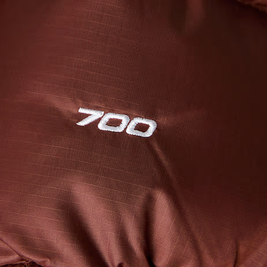 The North Face Heren 1996 Retro Nuptse Jas