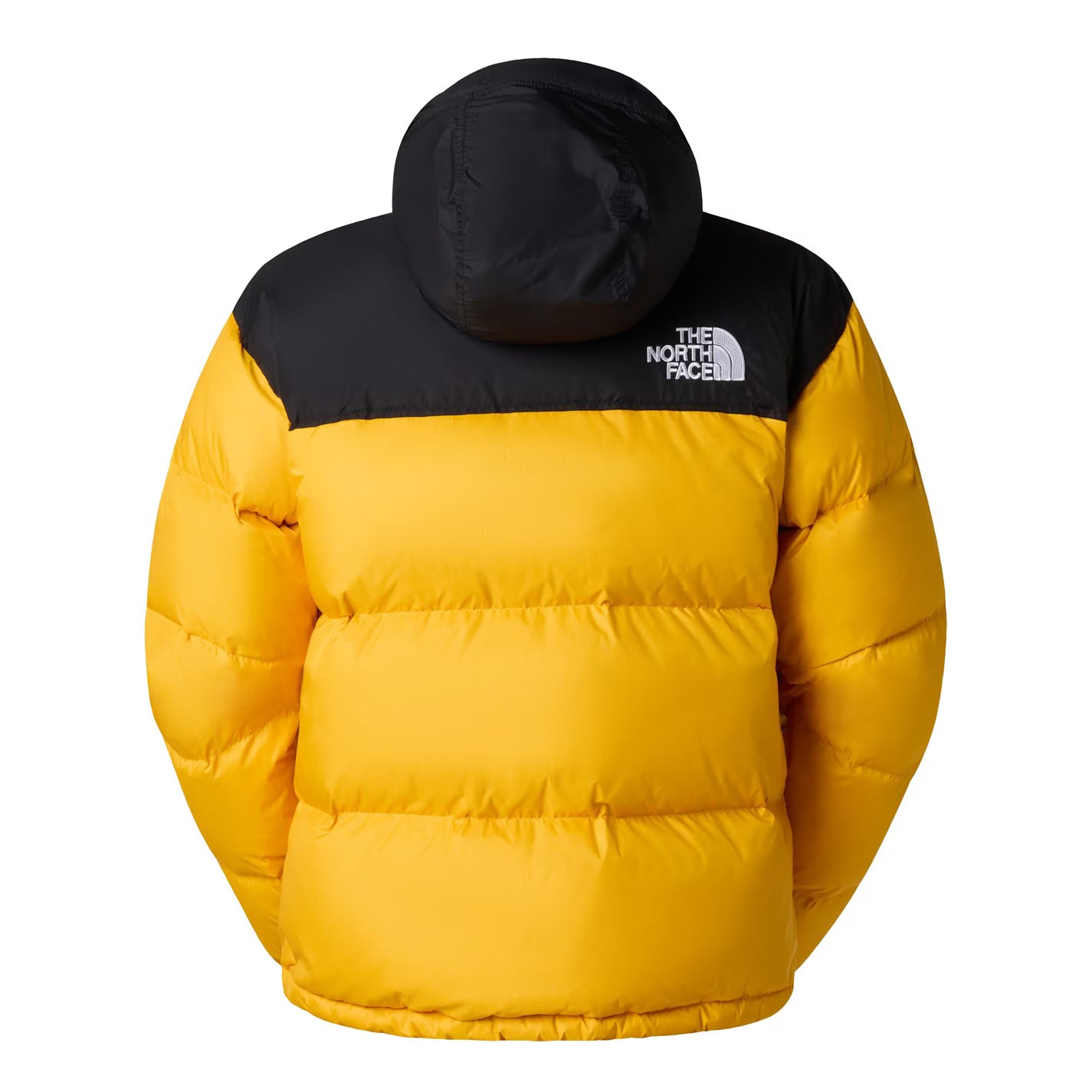TNF 1996 Retro Nuptse-jas heren
