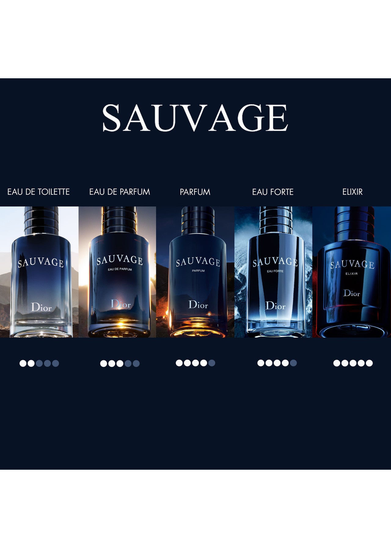 Sauvage Elixir 100ML
