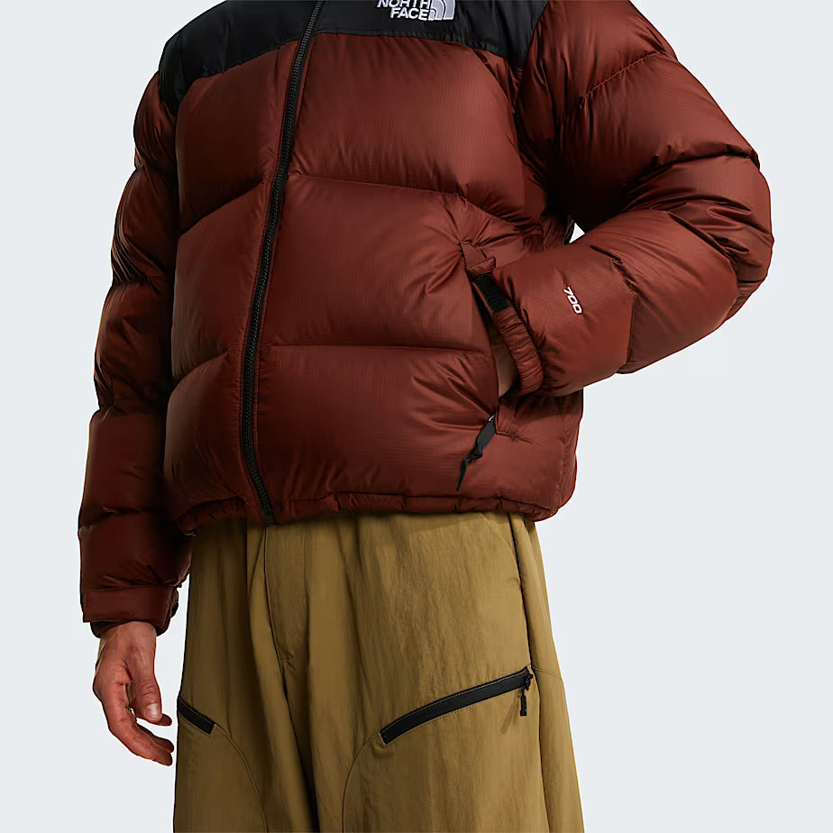 The North Face Heren 1996 Retro Nuptse Jas