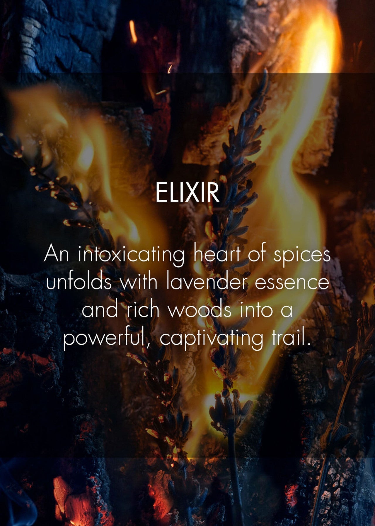 Dior Sauvage Elixir 100ML - Dani Dyers