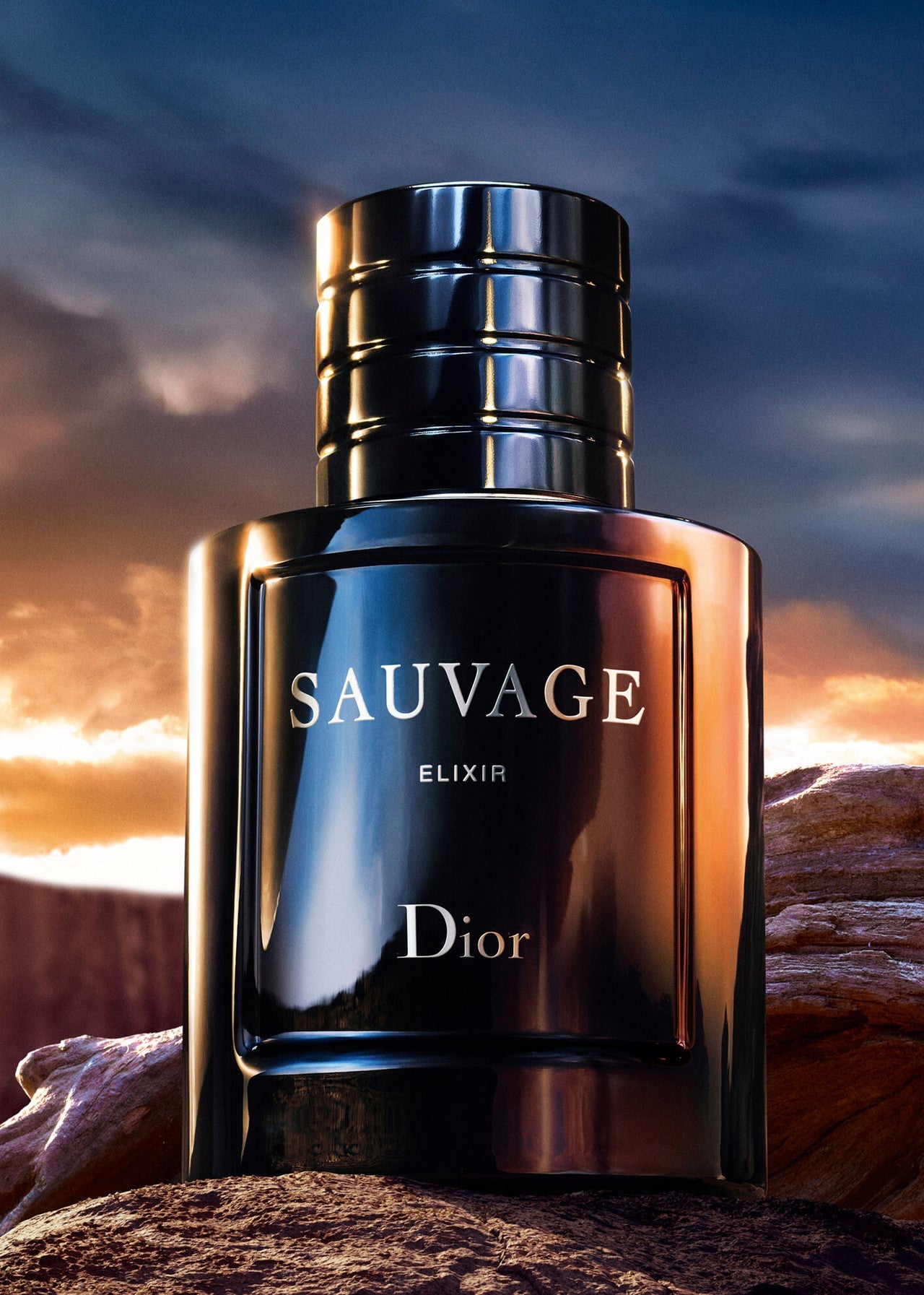 Dior Sauvage Elixir 100ML - Dani Dyers